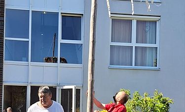 Routiniert wurde der Maibaum vor dem Kursana Domizil aufgestellt.