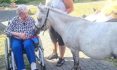 Auf du und du mit Ponys.