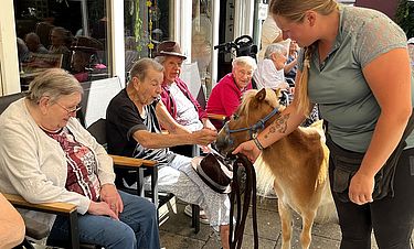 Drei Ponys waren im Kursana Domizil Friesenheim zu Gast – für die Bewohnerinnen und Bewohner eine aufregende und freudige Begegnung.  