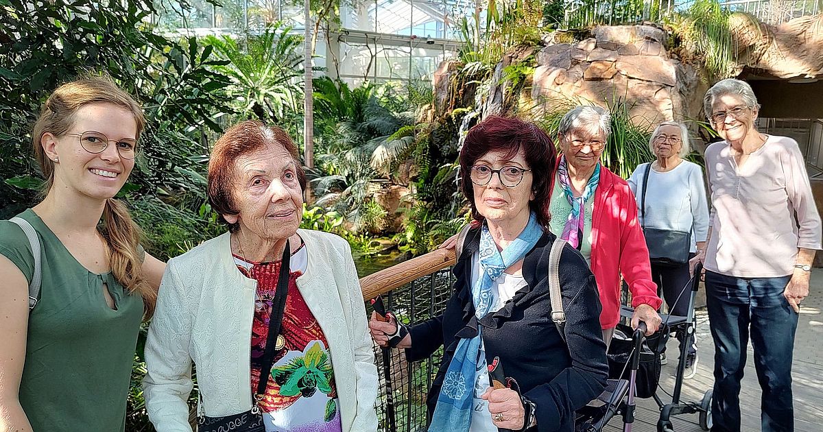Senioren Sind Von Farbt nen Beeindruckt Aktivit ten Domizil Kriftel senioren-sind-von-farbt-nen-beeindruckt-aktivit-ten-domizil-kriftel