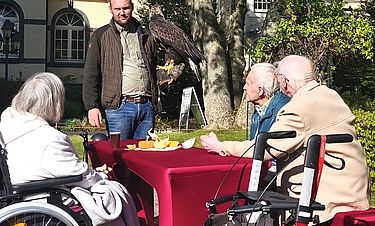 Ein Programm mit tierischen Attraktionen: Die Heidefalknerei hat zum Herbstfest der Kursana Villa auch einige Greifvögel mitgebracht.