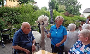 Die BewohnerInnen streichelten die tierischen Besucher.